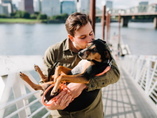 License - Veterinary X Webflow Template